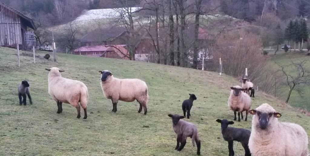 ホテル ランドガストホフ アドラー - ペルツミューレ Biederbach Baden-Württemberg エクステリア 写真