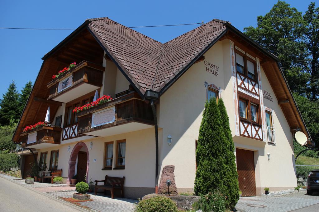 ホテル ランドガストホフ アドラー - ペルツミューレ Biederbach Baden-Württemberg エクステリア 写真